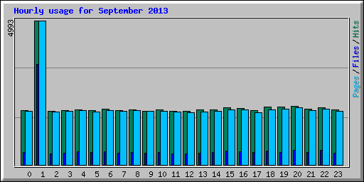Hourly usage for September 2013